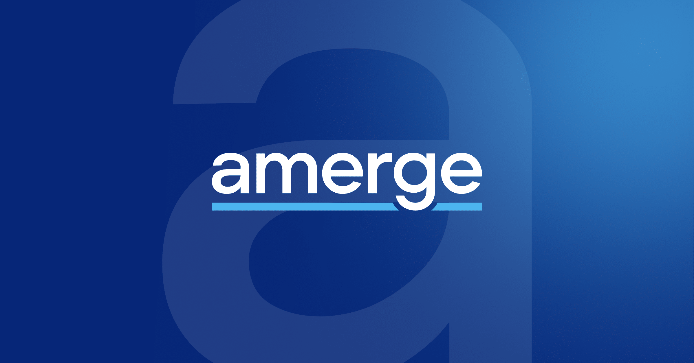 Amerge: Amazon Ads Advanced Partner I Full Service Agentur